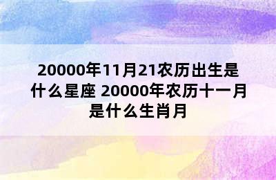 20000年11月21农历出生是什么星座 20000年农历十一月是什么生肖月